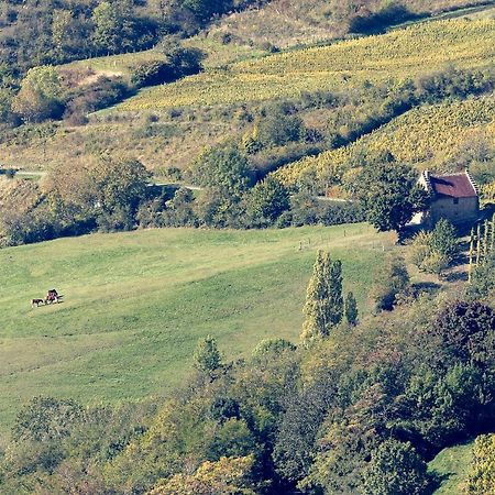 Les Billardes - Le Gite - Jura Gizia Exterior photo