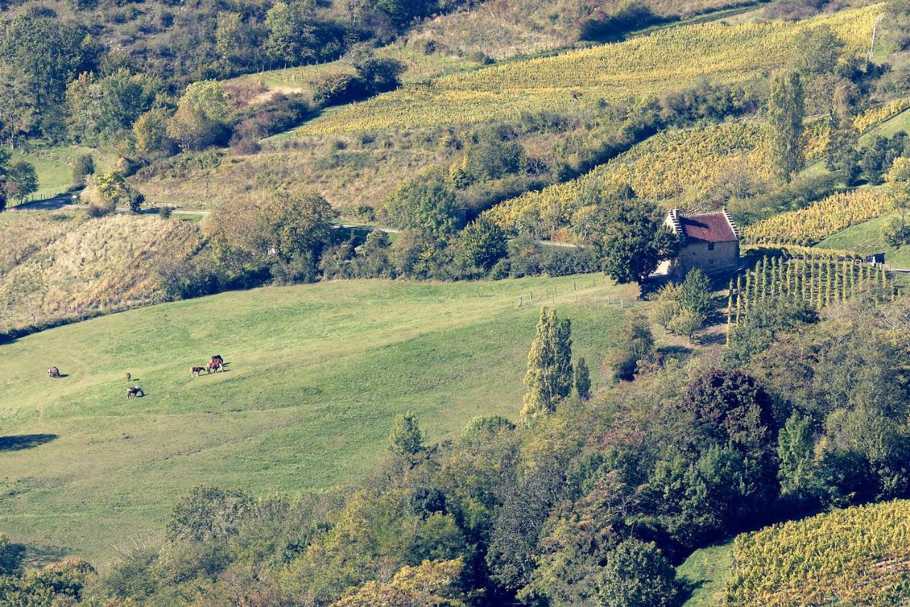 Les Billardes - Le Gite - Jura Gizia Exterior photo